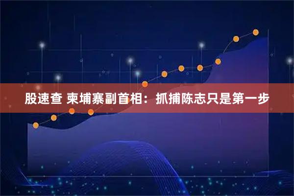股速查 柬埔寨副首相：抓捕陈志只是第一步