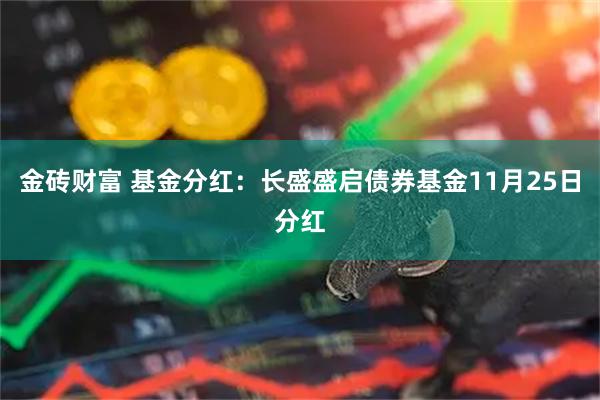 金砖财富 基金分红：长盛盛启债券基金11月25日分红