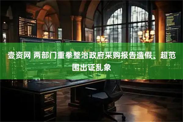 壹资网 两部门重拳整治政府采购报告造假、超范围出证乱象
